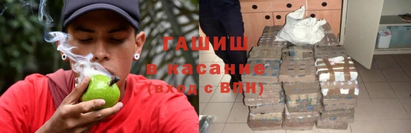 гашиш Богданович