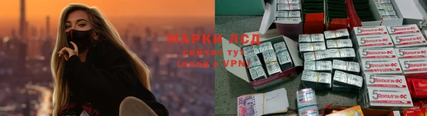 стаф Богородск