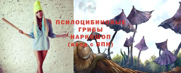 PSILOCYBIN Богородицк