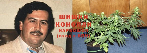 PSILOCYBIN Богородицк