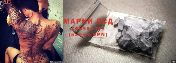 гашиш Богданович