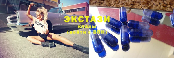 стаф Богородск