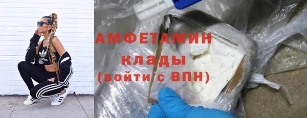 стаф Богородск